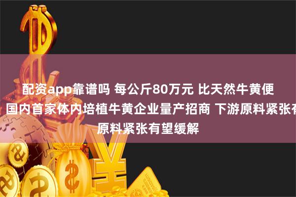 配资app靠谱吗 每公斤80万元 比天然牛黄便宜一半！国内首家体内培植牛黄企业量产招商 下游原料紧张有望缓解