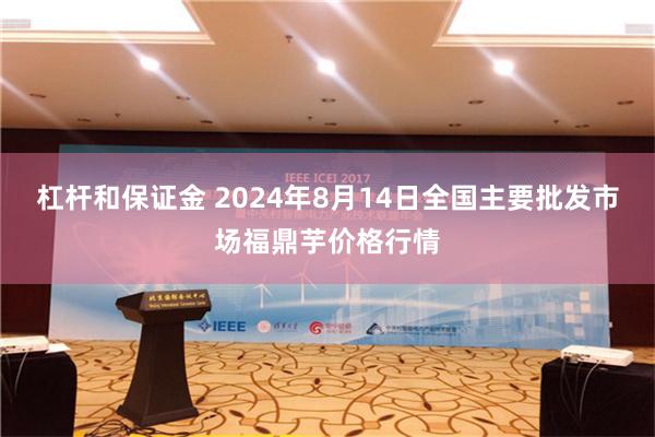 杠杆和保证金 2024年8月14日全国主要批发市场福鼎芋价格行情