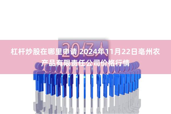 杠杆炒股在哪里申请 2024年11月22日亳州农产品有限责任公司价格行情