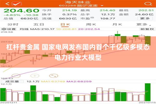 杠杆贵金属 国家电网发布国内首个千亿级多模态电力行业大模型